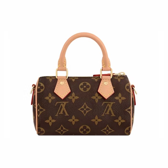 Louis Vuitton Mini Nano Speedy