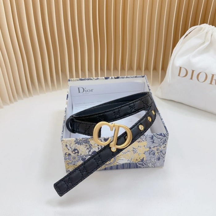 Dior double sided sheepskin with calf leather, Women Belt 20MM - Image 2