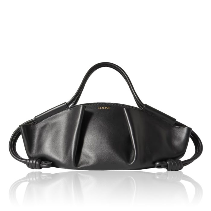 Loewe Shiny Nappa Calfskin Paseo Bag (Perfect Replica) - Image 2