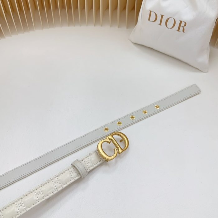 Dior double sided sheepskin with calf leather, Women Belt 20MM - Image 8