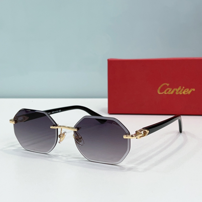 Cartier Metal Leg Rimless sunglasses Top quality (Perfect Replica) - Image 3