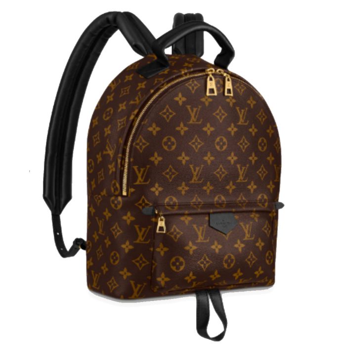 LV Palm Springs Backpack Mini&Small&Medium(Perfect Replica) - Image 6