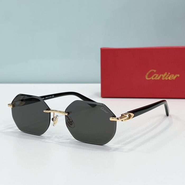 Cartier Metal Leg Rimless sunglasses Top quality (Perfect Replica) - Image 6