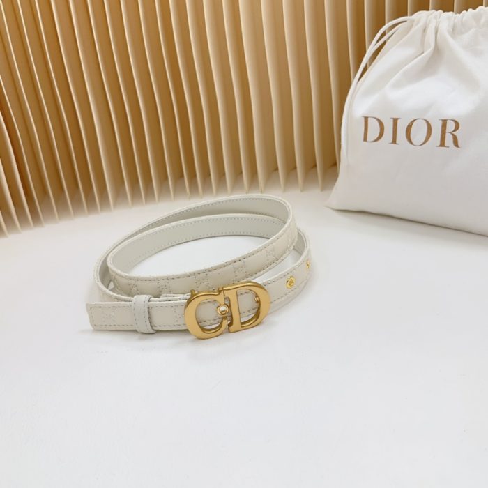 Dior double sided sheepskin with calf leather, Women Belt 20MM - Image 7