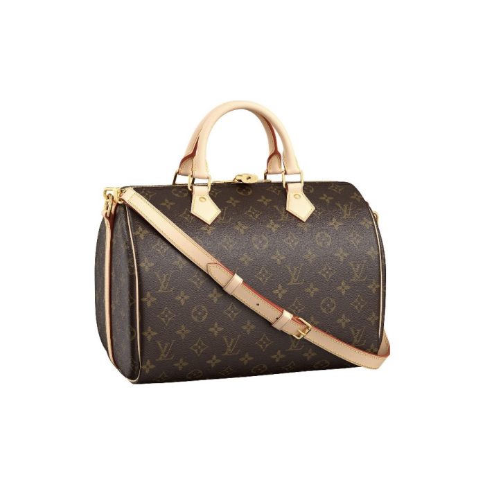 LV Speedy Bandoulie?re 30(Perfect Replica) - Image 5