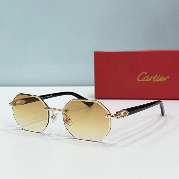 Cartier Metal Leg Rimless sunglasses Top quality (Perfect Replica) - Image 4