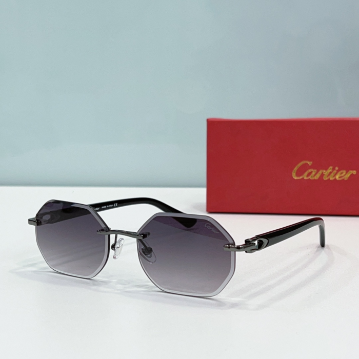 Cartier Metal Leg Rimless sunglasses Top quality (Perfect Replica) - Image 2