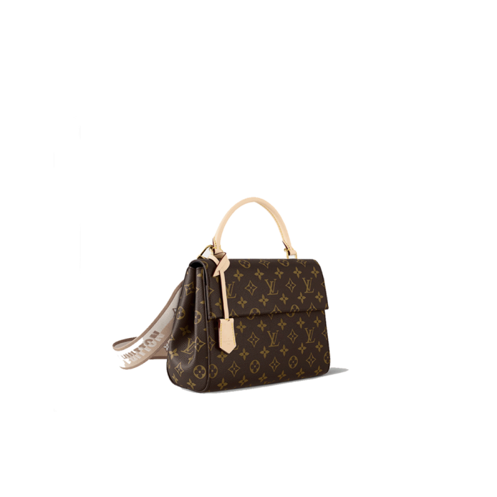 LV Cluny Bag(Perfect Replica) - Image 4