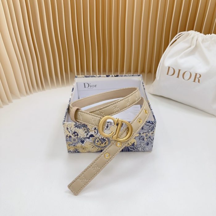 Dior double sided sheepskin with calf leather, Women Belt 20MM - Image 4