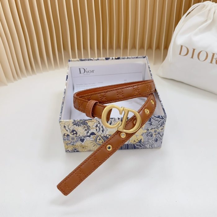 Dior double sided sheepskin with calf leather, Women Belt 20MM - Image 3