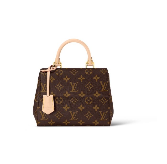 Louis Vuitton LV Cluny Leather Shoulder Crossbody Bag M46055&M46054 (Perfect Replica) - Image 2