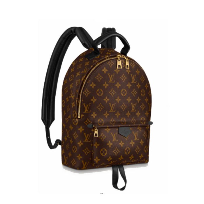 LV Palm Springs Backpack Mini&Small&Medium(Perfect Replica) - Image 5