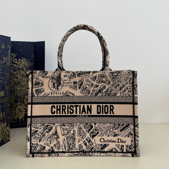 DIOR Book Tote Paris Map Bags(Perfect Replica)